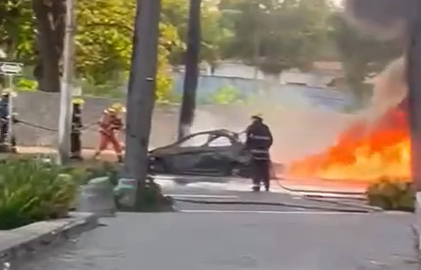imagen destacada